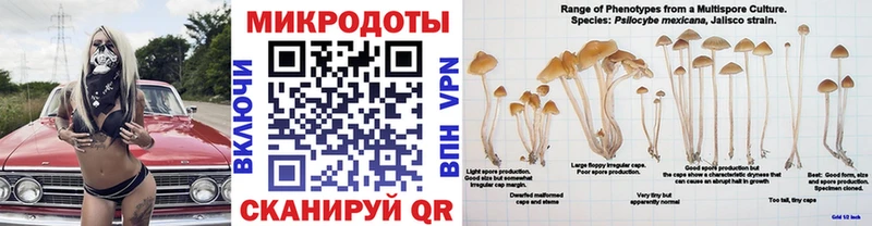 Псилоцибиновые грибы Psilocybe  Купить  Орлов 